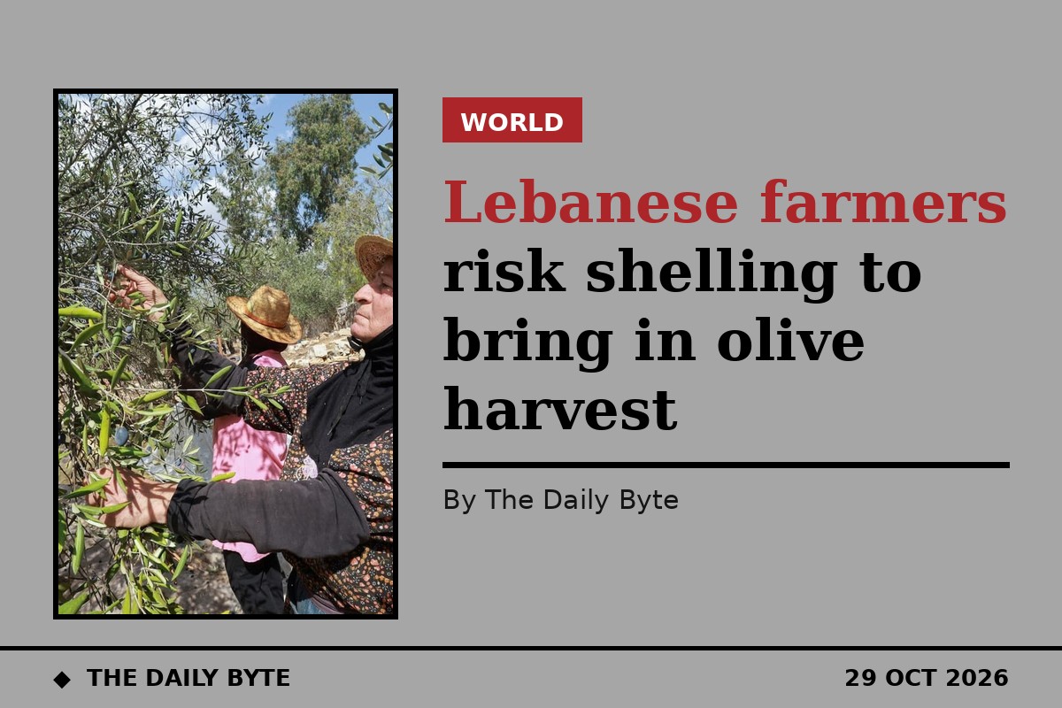Lebanese farmers risk shelling to bring in olive harvest