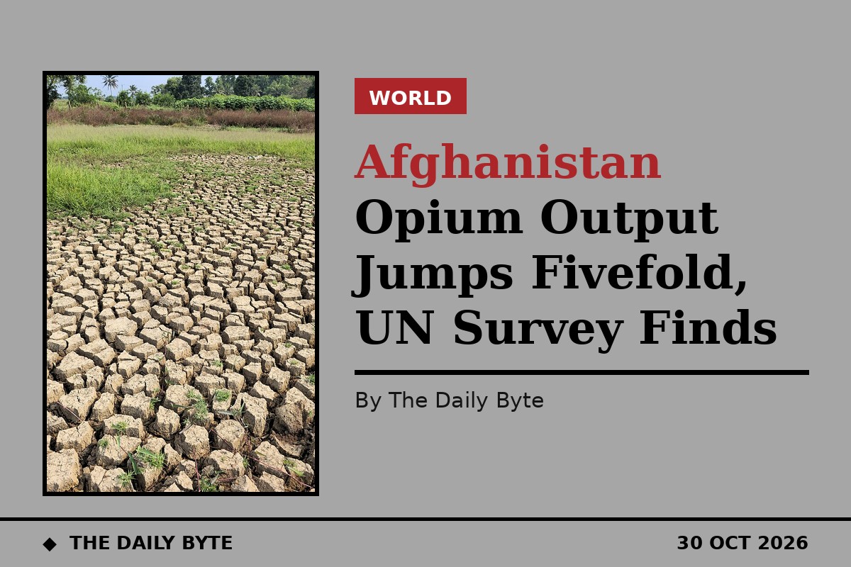 Afghanistan Opium Output Jumps Fivefold, UN Survey Finds