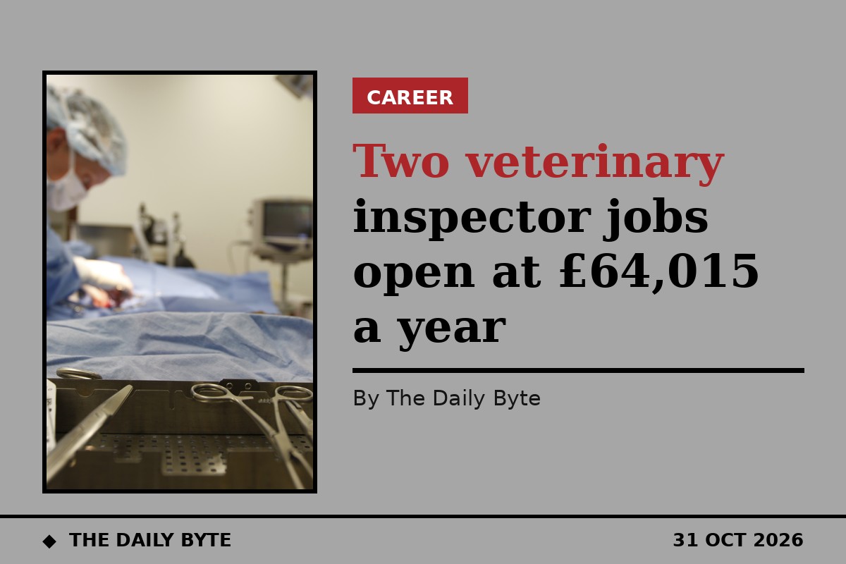 Generic file photo of a US Army veterinarian performing surgery on a dog