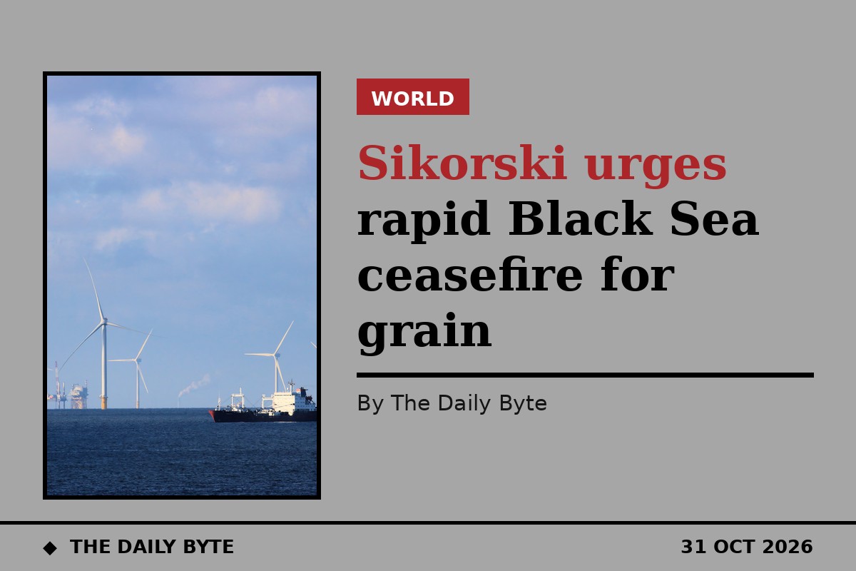 Sikorski urges rapid Black Sea ceasefire for grain