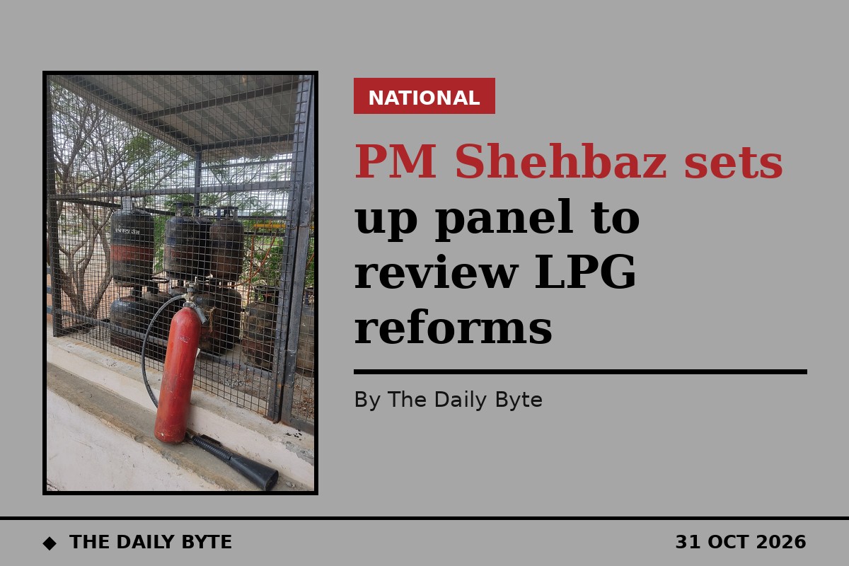 PM Shehbaz sets up panel to review LPG reforms