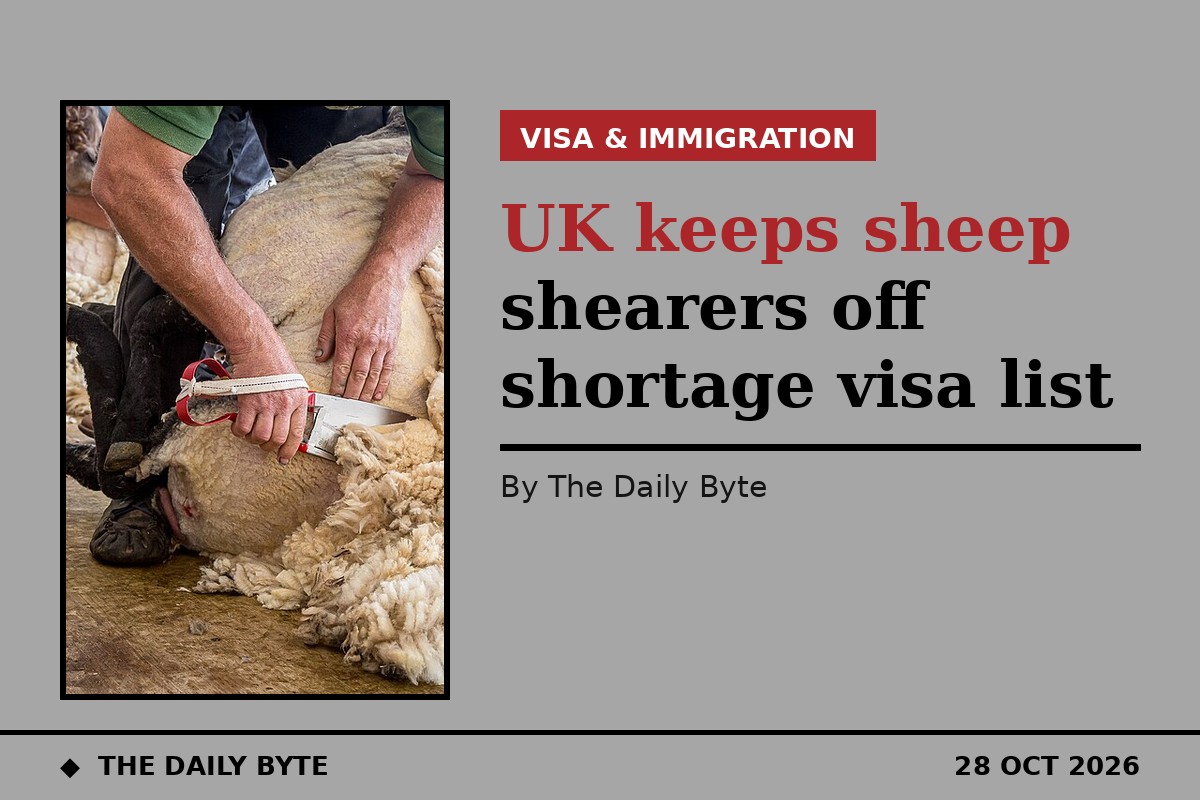 UK keeps sheep shearers off shortage visa list