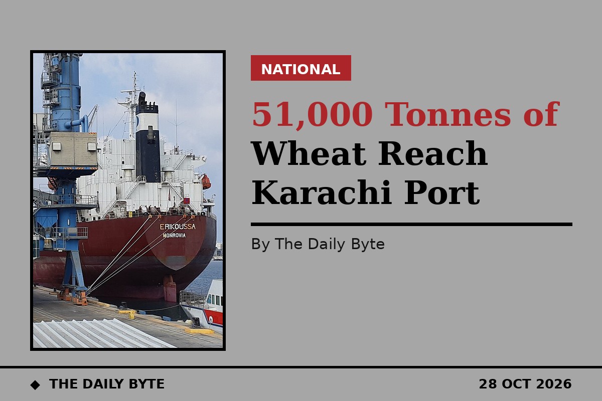 Bulk carrier ship unloading at a port grain elevator