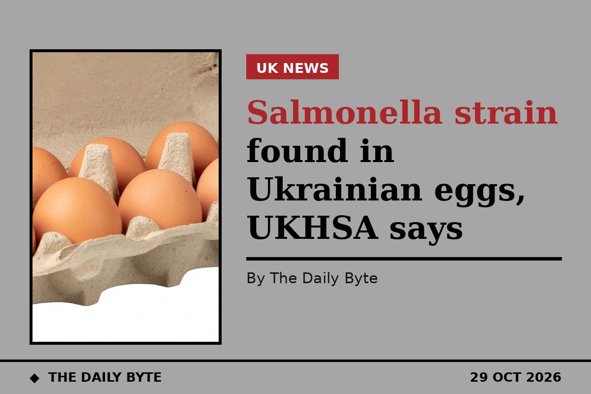 Salmonella strain found in Ukrainian eggs, UKHSA says